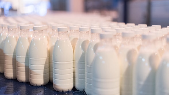 EkoNiva fills milk in PET containers 