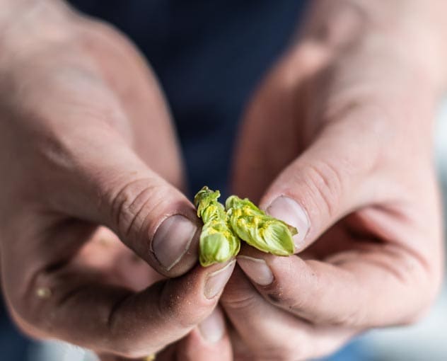 Experiencia Cervecera Basada en la Tradici&oacute;n y la Innovaci&oacute;n