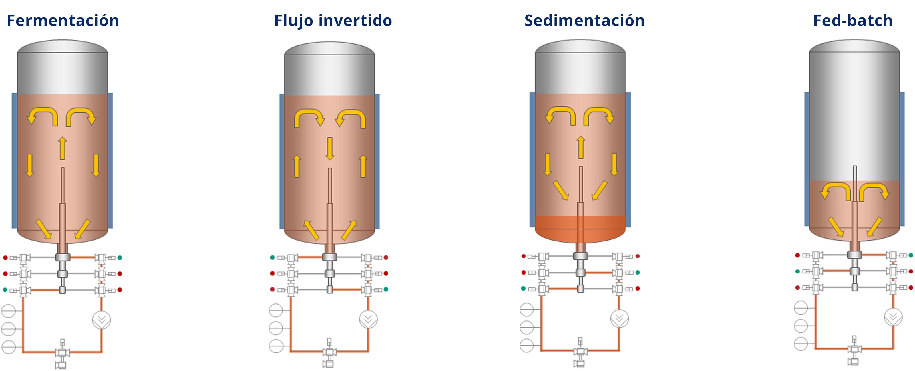 Pasos del proceso